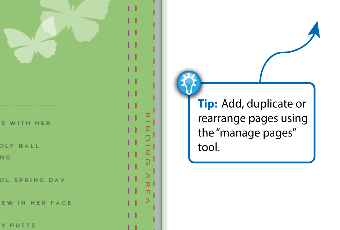 manage_pages_tip_PAGE.png